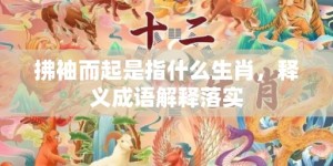 拂袖而起是指什么生肖，释义成语解释落实