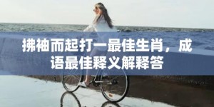 拂袖而起打一最佳生肖，成语最佳释义解释答