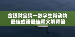 金银财宝猜一数字生肖动物 最佳成语最佳释义解释答