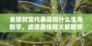 金银财宝代表是指什么生肖数字，成语最佳释义解释答