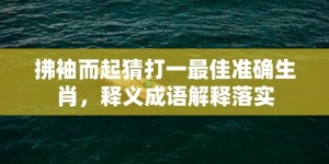 拂袖而起猜打一最佳准确生肖，释义成语解释落实