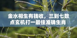 金水相生有钱收，三到七数点玄机打一最佳准确生肖 成语最佳释义解释答