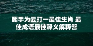 翻手为云打一最佳生肖 最佳成语最佳释义解释答