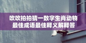 吹吹拍拍猜一数字生肖动物 最佳成语最佳释义解释答