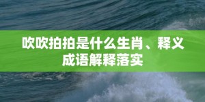 吹吹拍拍是什么生肖、释义成语解释落实