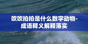 吹吹拍拍是什么数字动物-成语释义解释落实