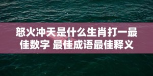 怒火冲天是什么生肖打一最佳数字 最佳成语最佳释义解释答