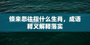 倏来忽往指什么生肖，成语释义解释落实