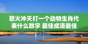 怒火冲天打一个动物生肖代表什么数字 最佳成语最佳释义解释答