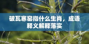 破瓦寒窑指什么生肖，成语释义解释落实