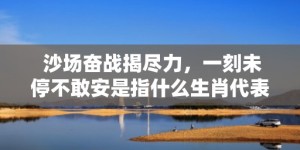 沙场奋战揭尽力，一刻未停不敢安是指什么生肖代表什么数字动物、成语解释落实