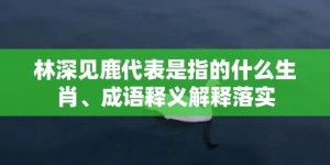 林深见鹿代表是指的什么生肖、成语释义解释落实