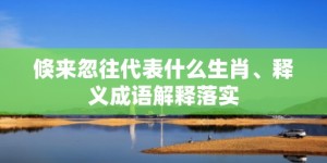 倏来忽往代表什么生肖、释义成语解释落实