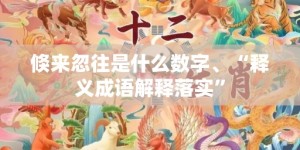 倏来忽往是什么数字、“释义成语解释落实”