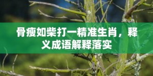 骨瘦如柴打一精准生肖，释义成语解释落实