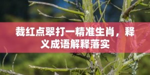 裁红点翠打一精准生肖，释义成语解释落实