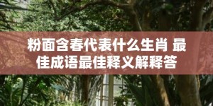 粉面含春代表什么生肖 最佳成语最佳释义解释答