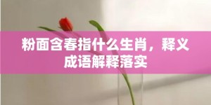 粉面含春指什么生肖，释义成语解释落实