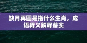 缺月再圆是指什么生肖，成语释义解释落实