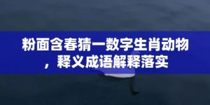 粉面含春猜一数字生肖动物，释义成语解释落实