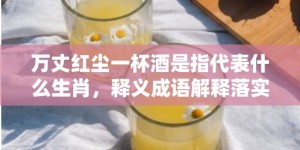 万丈红尘一杯酒是指代表什么生肖，释义成语解释落实