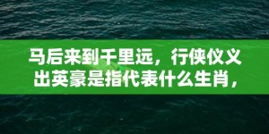 马后来到千里远，行侠仪义出英豪是指代表什么生肖，成语释义解释落实