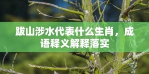 跋山涉水代表什么生肖，成语释义解释落实