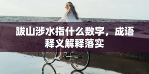 跋山涉水指什么数字，成语释义解释落实