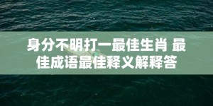 身分不明打一最佳生肖 最佳成语最佳释义解释答