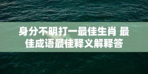 身分不明打一最佳生肖 最佳成语最佳释义解释答