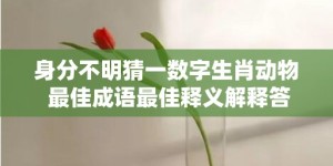 身分不明猜一数字生肖动物 最佳成语最佳释义解释答