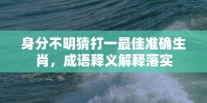 身分不明猜打一最佳准确生肖，成语释义解释落实