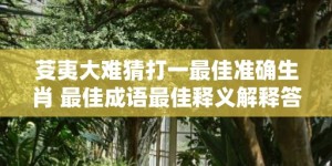 芟夷大难猜打一最佳准确生肖 最佳成语最佳释义解释答