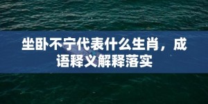 坐卧不宁代表什么生肖，成语释义解释落实