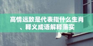 高情远致是代表指什么生肖、释义成语解释落实