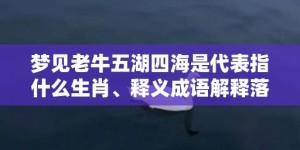 梦见老牛五湖四海是代表指什么生肖、释义成语解释落实