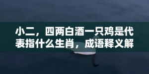 小二，四两白酒一只鸡是代表指什么生肖，成语释义解释落实