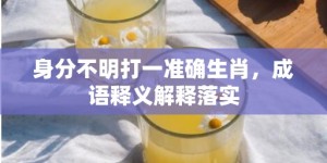 身分不明打一准确生肖，成语释义解释落实