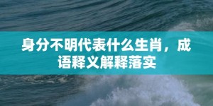 身分不明代表什么生肖，成语释义解释落实