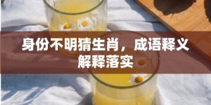 身份不明猜生肖，成语释义解释落实