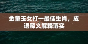 金童玉女打一最佳生肖，成语释义解释落实