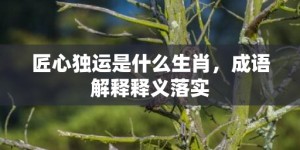 匠心独运是什么生肖，成语解释释义落实