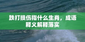 跌打损伤指什么生肖，成语释义解释落实