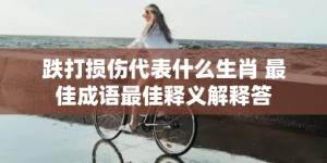 跌打损伤代表什么生肖 最佳成语最佳释义解释答