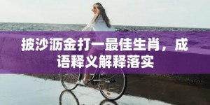 披沙沥金打一最佳生肖，成语释义解释落实