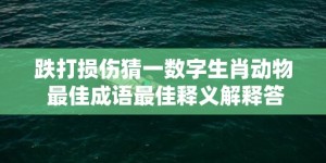 跌打损伤猜一数字生肖动物 最佳成语最佳释义解释答