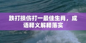 跌打损伤打一最佳生肖，成语释义解释落实