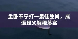 坐卧不宁打一最佳生肖，成语释义解释落实