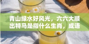 青山绿水好风光，六六大顺出特马是指什么生肖，成语释义解释落实