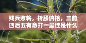 残兵败将，折腰俯拾，三前四后五有意打一最佳是什么生肖,释义成语解释落实